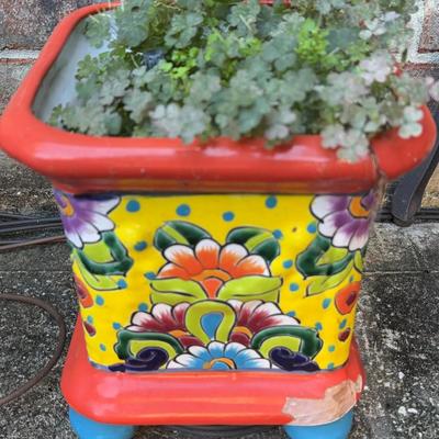 Hand Painted Square Pottery Planter And Plant