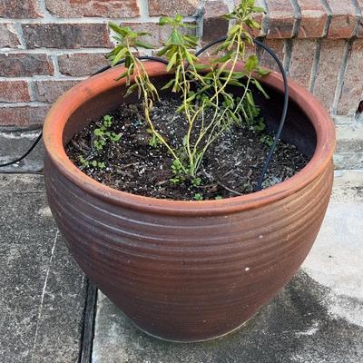 Large Pottery Planter 