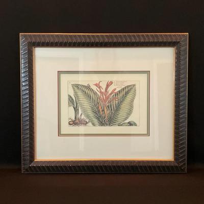 Indian Canna Plant Print by Van De Passé