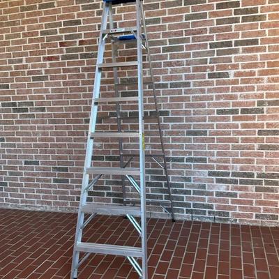 Werner 8 Ft Ladder