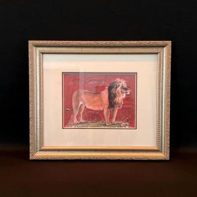 ‘Safari Lion’ Framed Print by Chad Barrett