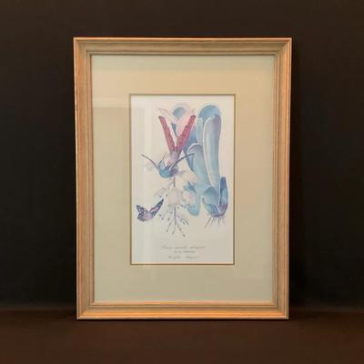 ‘Shimmering Hummingbird’ Print by John Théodore Descourtilz