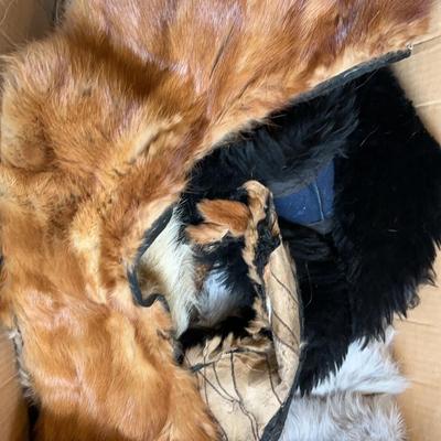 BN882 Shawls, Hat, & Hand Muffs