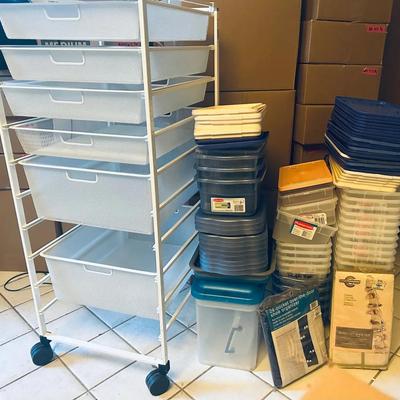 BN694 Elfa Drawers & Shoe Storage Organizers