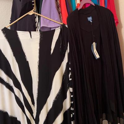 BN782 Alfani, Vera Wang, & Siegel Clothing 