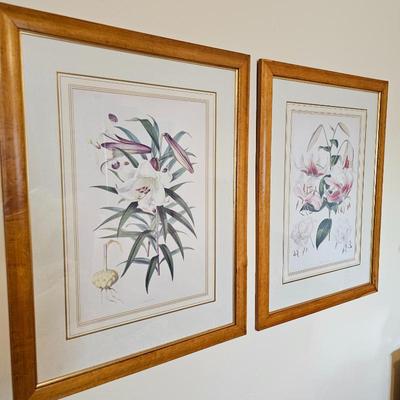 Lot #4 - Pair Framed Botanical Art Prints • Lily Flower Illustrations • Vintage Style Gold Wood Frames