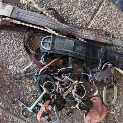 Boot Spurs, Leather Cinch Strap, Headstall Piece And Horse Bit