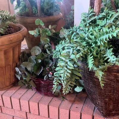 Faux Plants / Artificial Plants