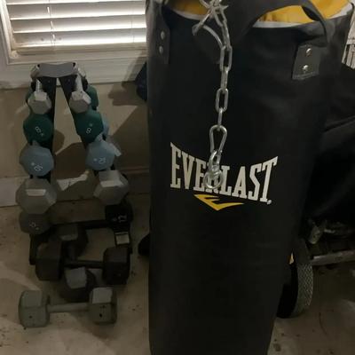 Everlast Punching Bag & Hand Weights Set
