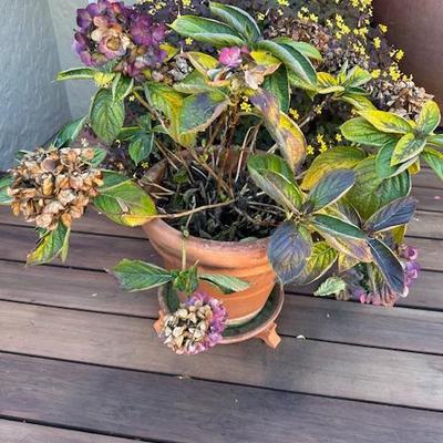 Sale Photo Thumbnail #31