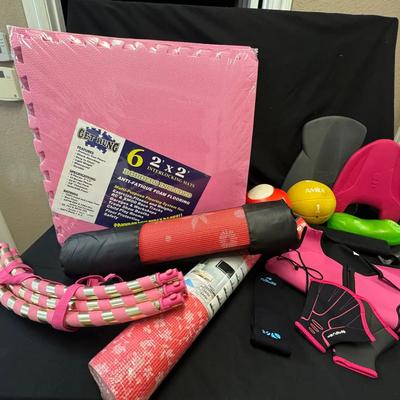 254: Fitness Equipment (floor Mats, Yoga Mats, Boxing Gloves , Kick Boards And More)