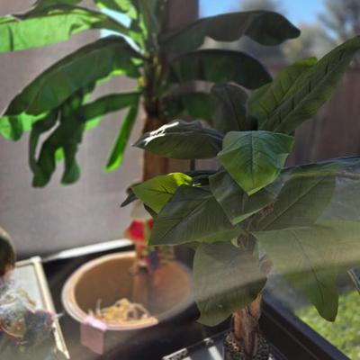 Sale Photo Thumbnail #63