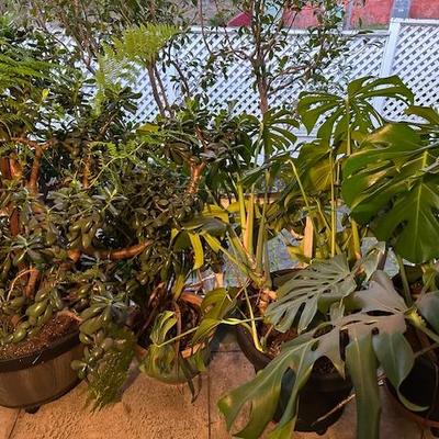 Sale Photo Thumbnail #41