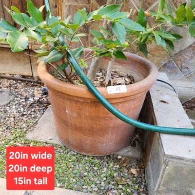 Sale Photo Thumbnail #100