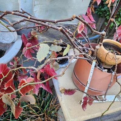 Sale Photo Thumbnail #30