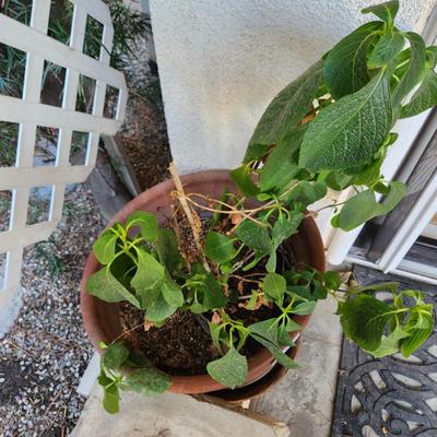 Sale Photo Thumbnail #36