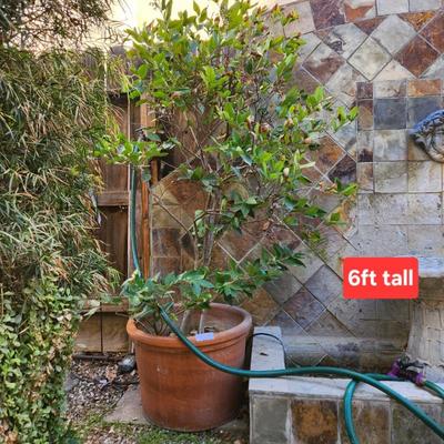 Sale Photo Thumbnail #99