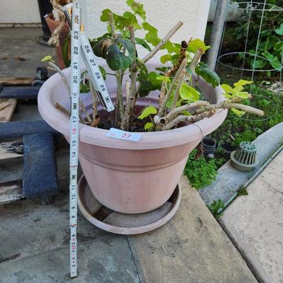 Sale Photo Thumbnail #57