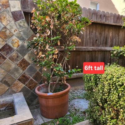 Sale Photo Thumbnail #94