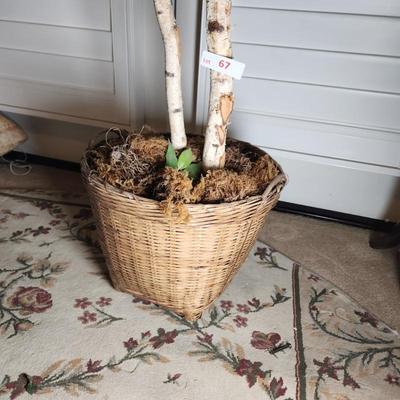 Sale Photo Thumbnail #157