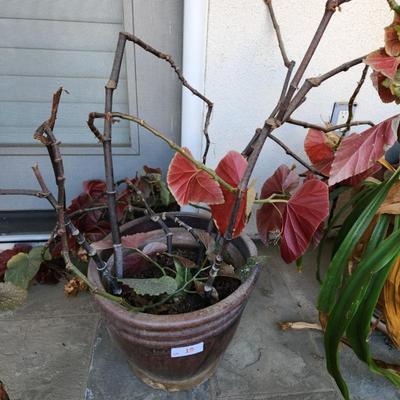 Sale Photo Thumbnail #40