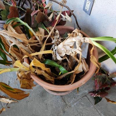 Sale Photo Thumbnail #42