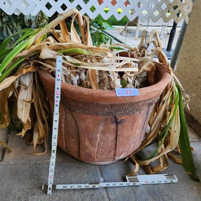 Sale Photo Thumbnail #48