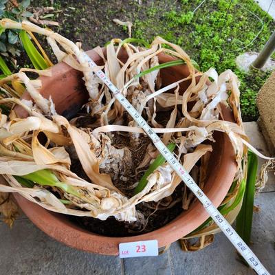 Sale Photo Thumbnail #49