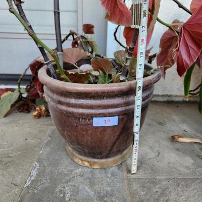 Sale Photo Thumbnail #39