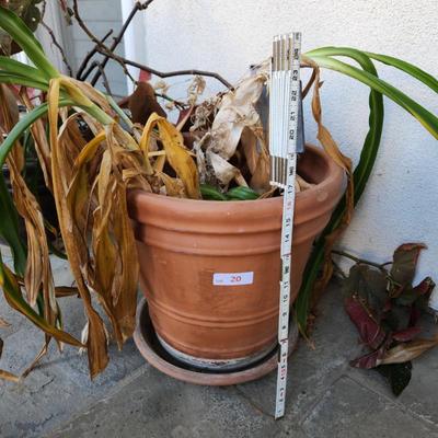 Sale Photo Thumbnail #41