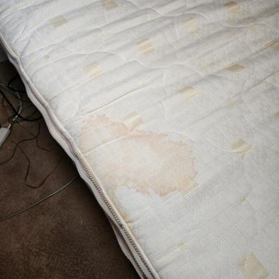 Sale Photo Thumbnail #503