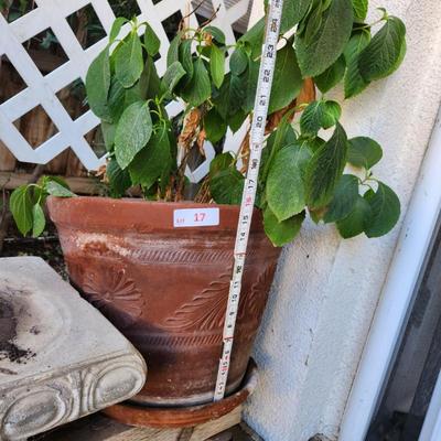 Sale Photo Thumbnail #35