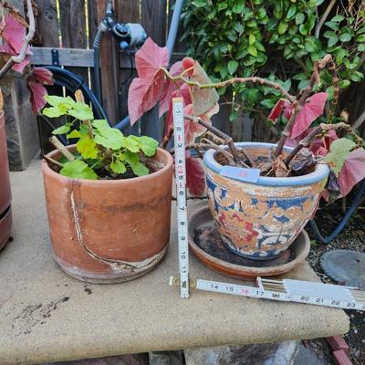 Sale Photo Thumbnail #31