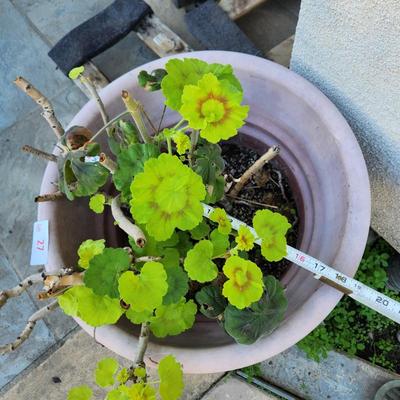 Sale Photo Thumbnail #58