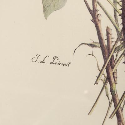 Sale Photo Thumbnail #127