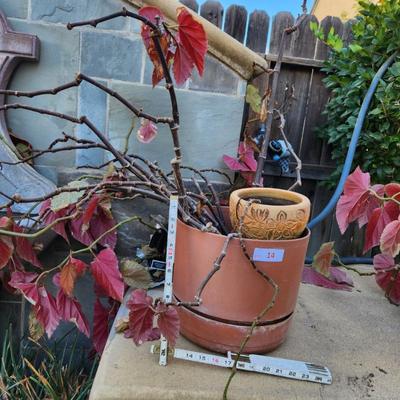 Sale Photo Thumbnail #29