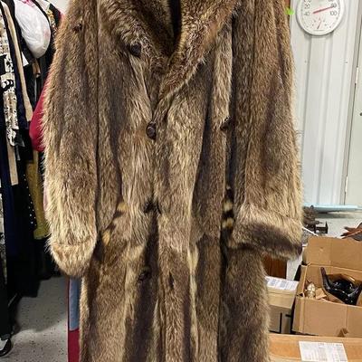 1920's Full Length Raccoon Fur, No Tag 