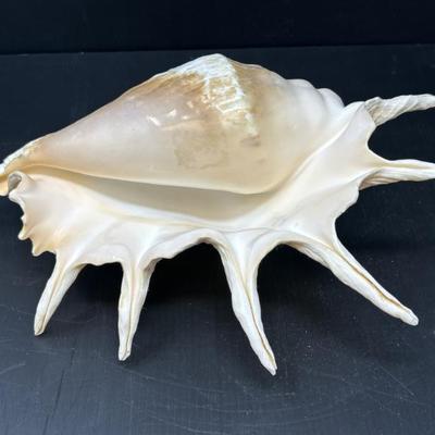 Sale Photo Thumbnail #320