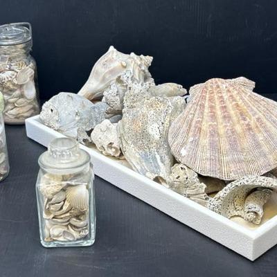 Sale Photo Thumbnail #321