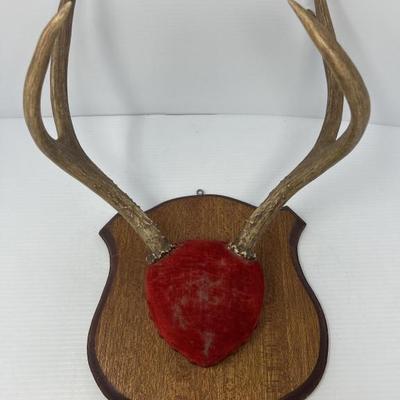 Sale Photo Thumbnail #155