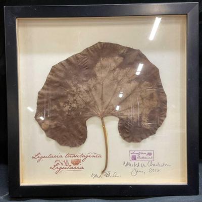 Sale Photo Thumbnail #340