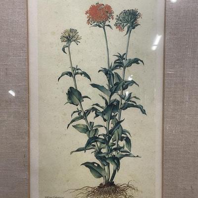 Sale Photo Thumbnail #225