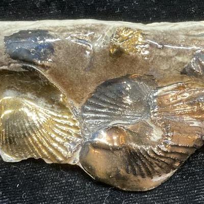 Sale Photo Thumbnail #190