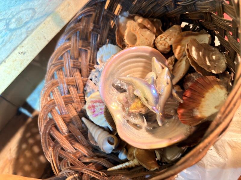 Sale Photo Thumbnail #11