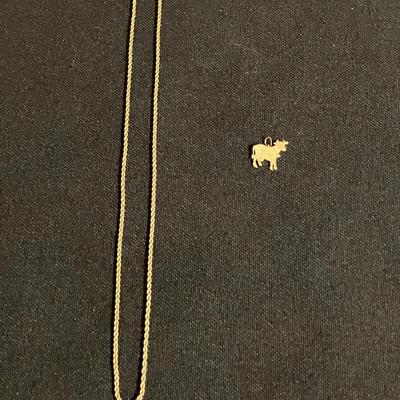 17" 14K Chain and Pendant