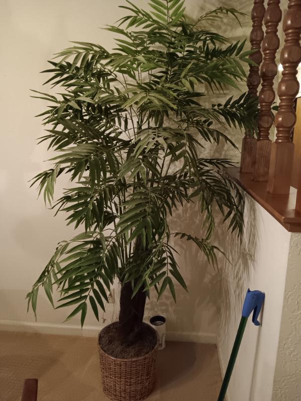 Sale Photo Thumbnail #37