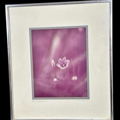 Sale Photo Thumbnail #149