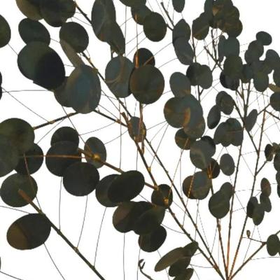 Sale Photo Thumbnail #205