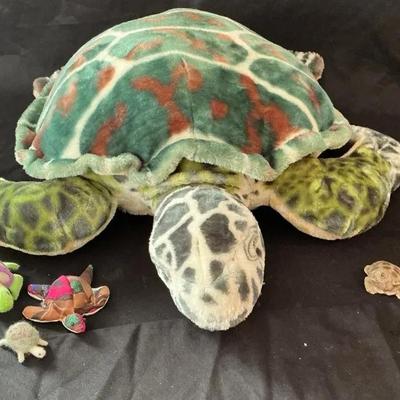 Turtles In A Half Shell