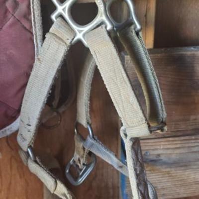 Sale Photo Thumbnail #91